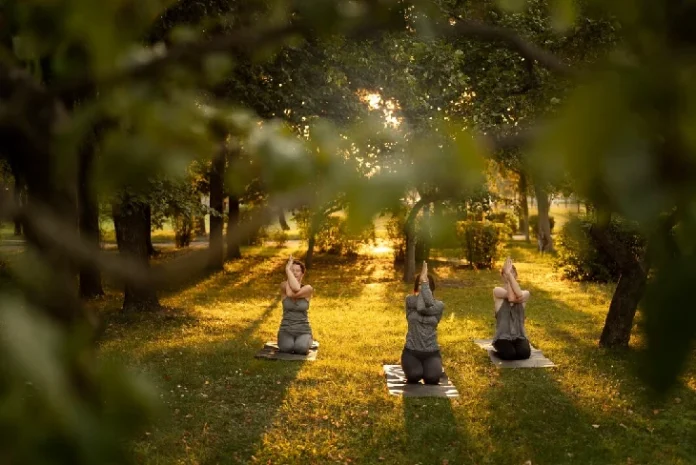 A person practicing yoga in a serene park setting, embodying the principles of Wellness through physical activity and connection with nature.