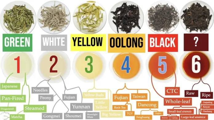 The Different Types of Tea: A Journey of Flavor and Culture