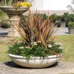 Enhance Your Space with Large Round Planters: A Comprehensive Guide