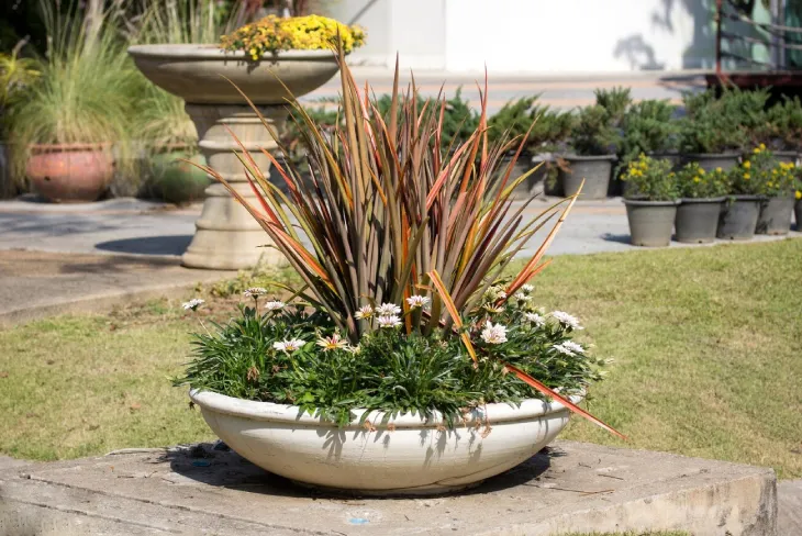 Enhance Your Space with Large Round Planters: A Comprehensive Guide