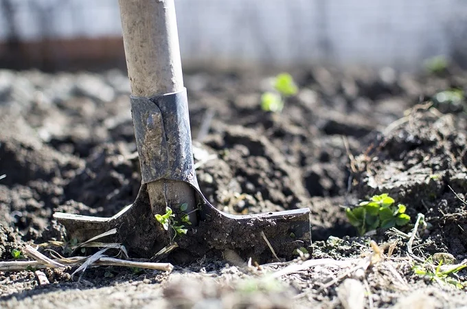 Close-up of a shovel digging into soil.