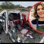 Felice Arana New Jersey Accident: Tragedy in Bridgeton